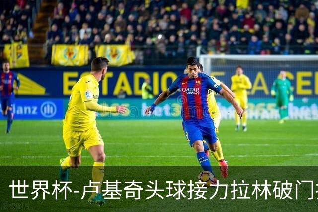 世界杯-卢基奇头球接力拉林破门扳平 加拿大1-1波黑